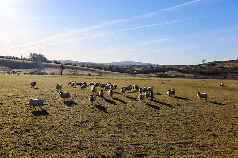 Im&aacute;genes del molino Magee y de Donegal, en Irlanda