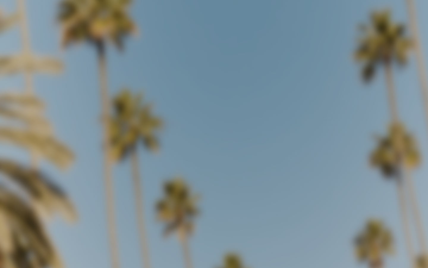 Mood Banner Picture